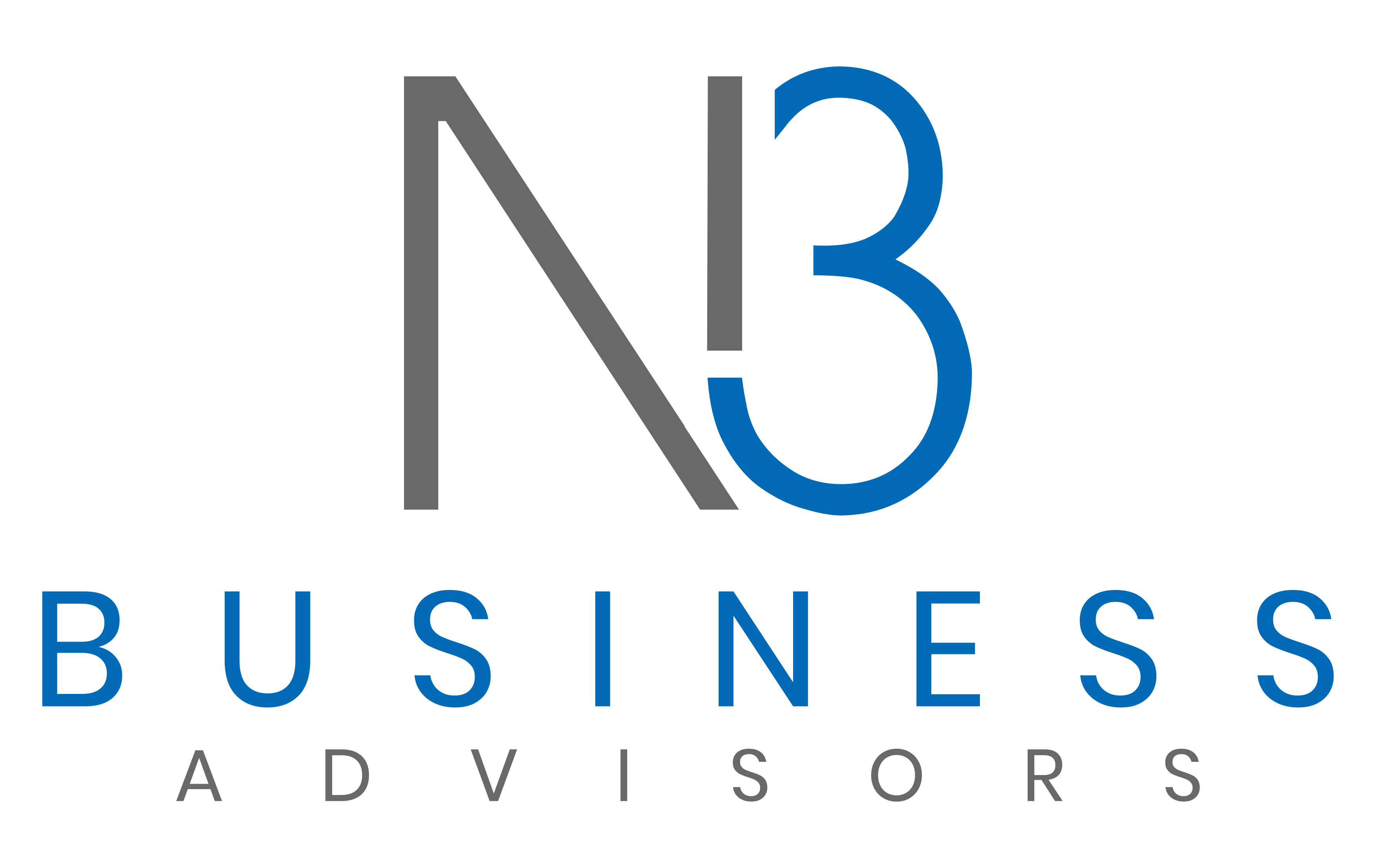 N3 Business Advisors